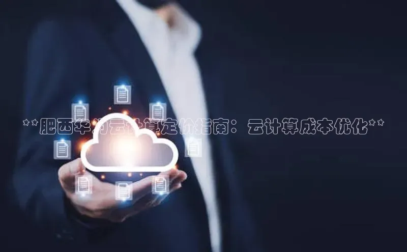 意昂体育4代理赛富乐斯**肥西华为云计算定价指南：云计算成本优化**