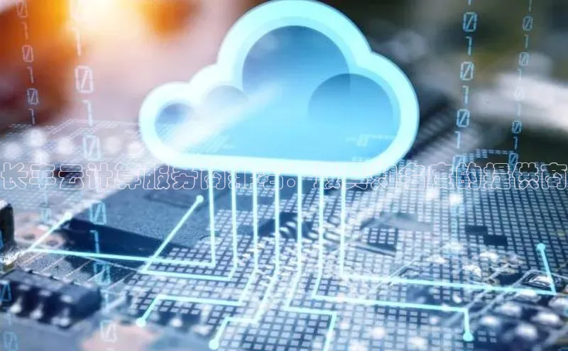 意昂体育4官网挪威主权基金长丰云计算服务商排名：最具知名度的提供商