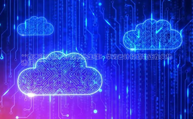 EON体育4登录金山办公**在天津开启云计算职业生涯：华为云计算招聘正在火热
进行！**