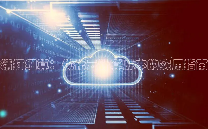 EON体育4百度 H5精打细算：优化云计算成本的实用指南