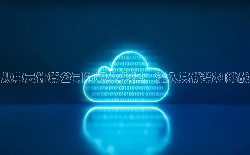 EON4ARGA公司从事云计算公司的职业生涯：深入其优势和挑战