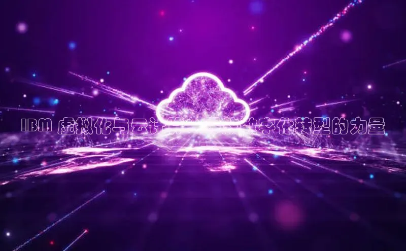 意昂体育4官网挪威主权基金IBM 虚拟化与云计算：释放数字化转型的力量