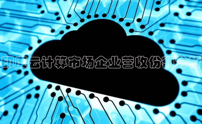 EON4ARGA公司印度云计算市场企业营收份额分析