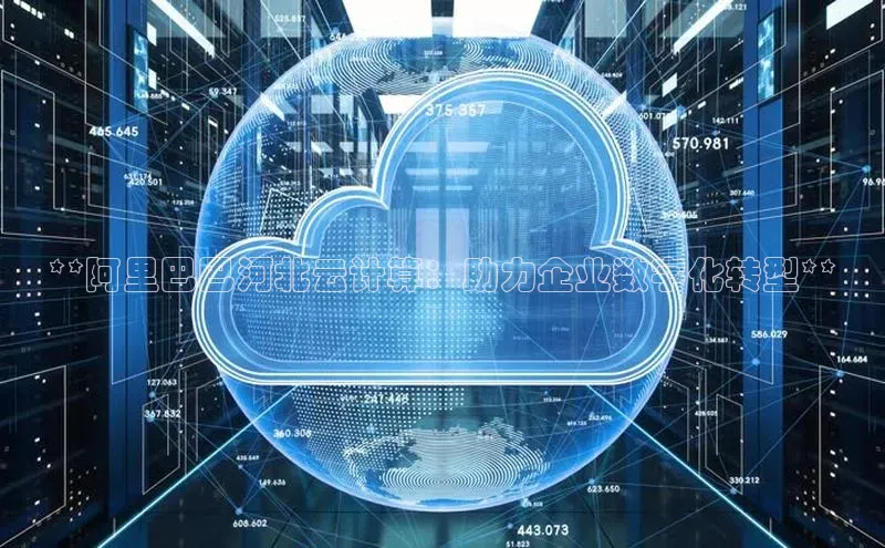 意昂体育4百度健康**阿里巴巴河北云计算：助力企业数字化转型**