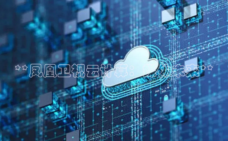 EON4招商诸葛科技**凤凰卫视云计算：媒体未来**