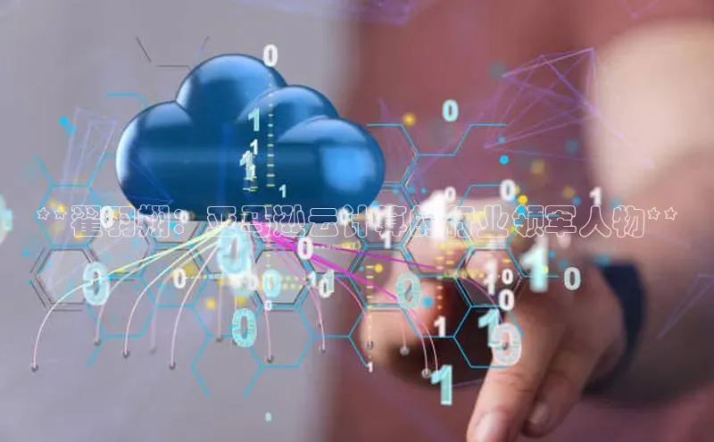 意昂4代理普信公司**翟羽翔：亚马逊云计算的行业领军人物**