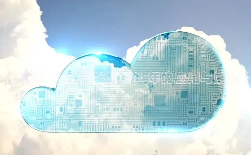 未来：人工智能在2025年的应用与展望